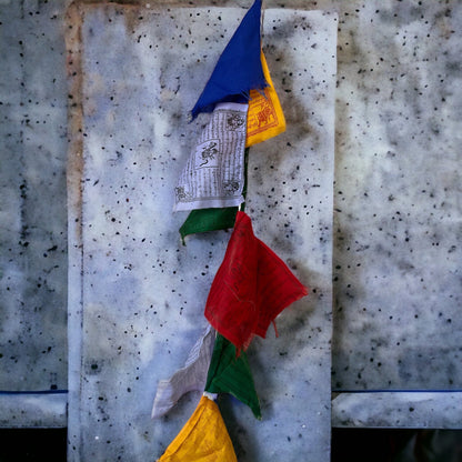 Tibetan Prayer Flags | Hand Screen Printed Lungta Bunting